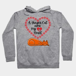 A Ginger Cat Owns My Heart - Orange Cat Lover Design Hoodie